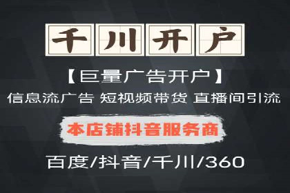 百度竞价代理的运营策略与成功案例分析